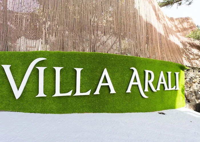 Lightbooking Arali - Lujo Renovado En Tenerife Fasnia